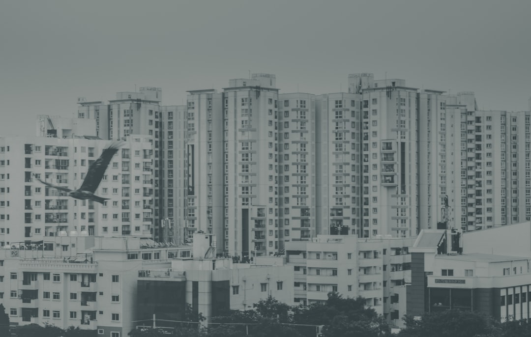 Photo affordability crisis