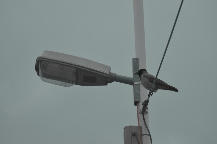 Photo metering system control surveillance