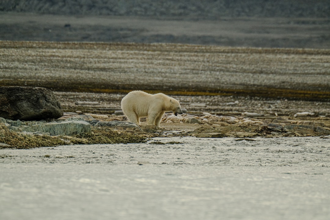 Photo climate, collapse