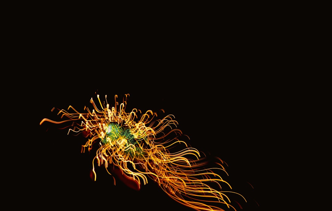 Photo antikythera mechanism