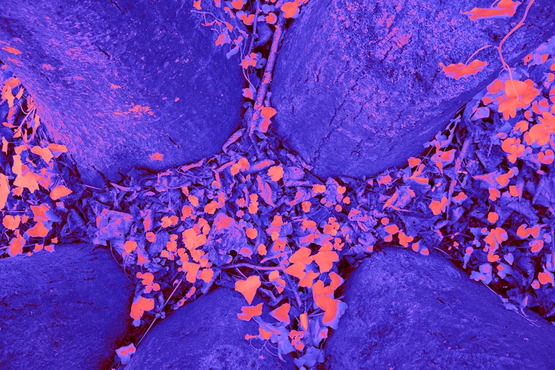 Photo antikythera mechanism