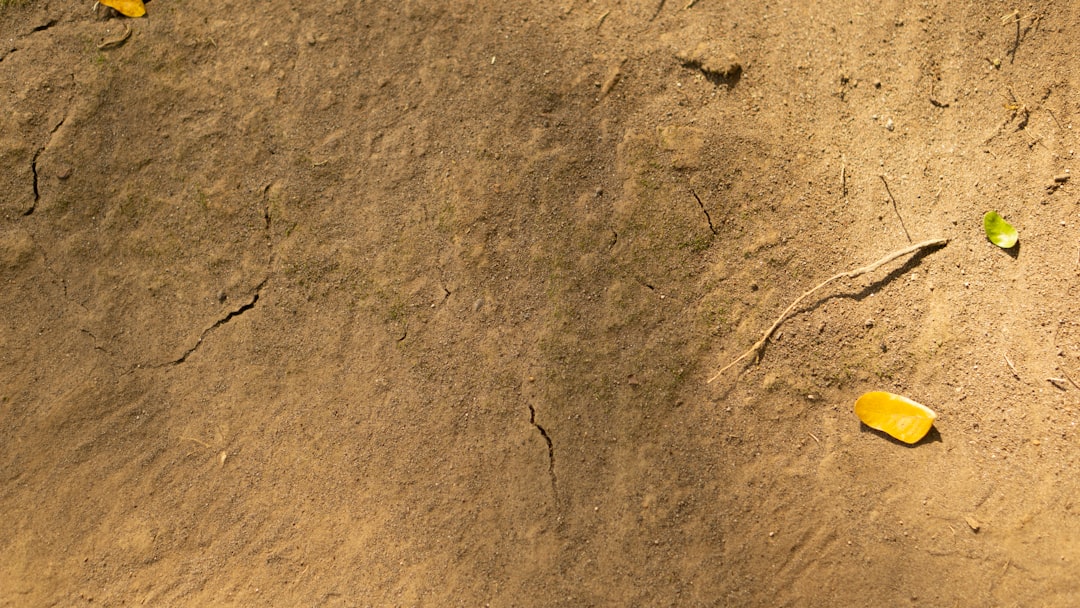 Photo antikythera mechanism inscriptions decoded