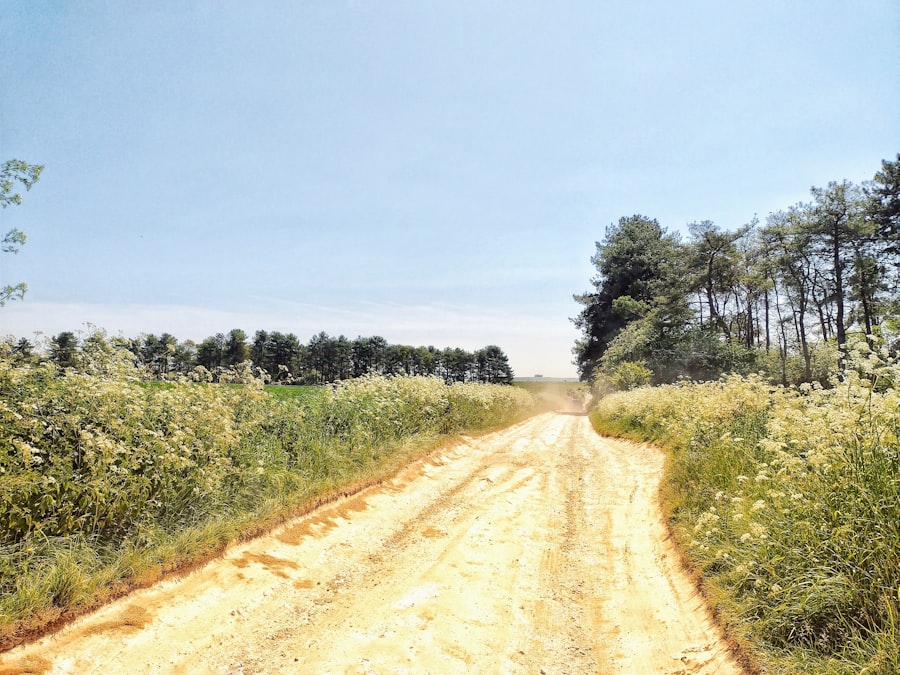 Photo historical mysteries