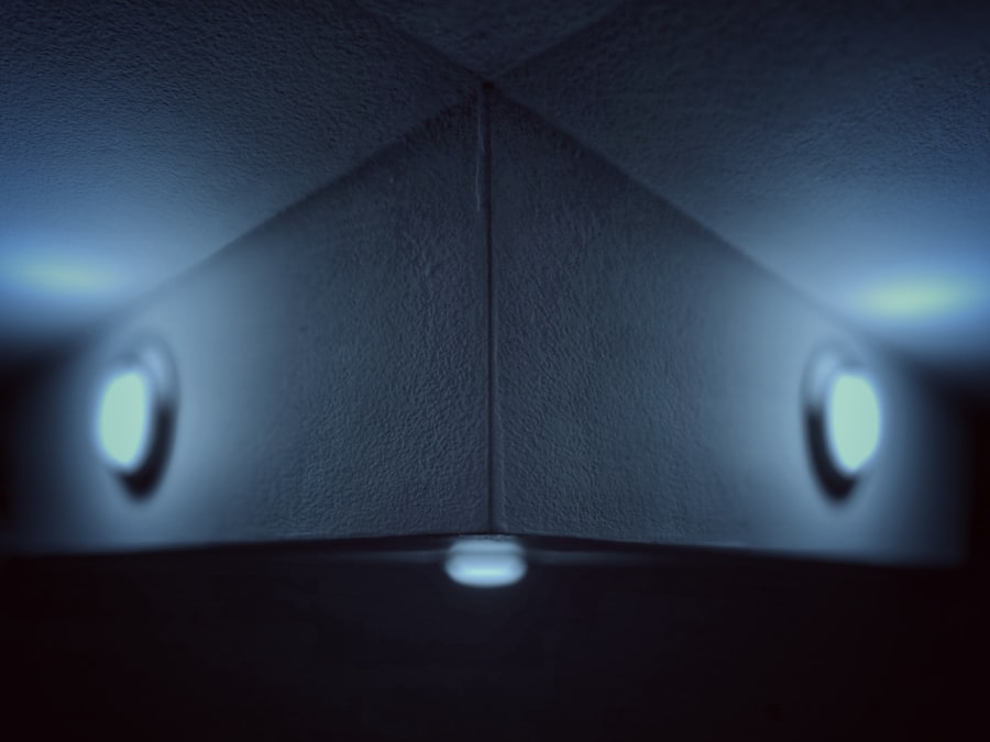 Photo Sitter holography