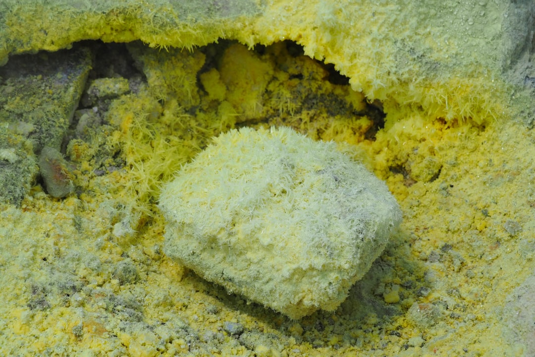 Photo hydrothermal vent origin life