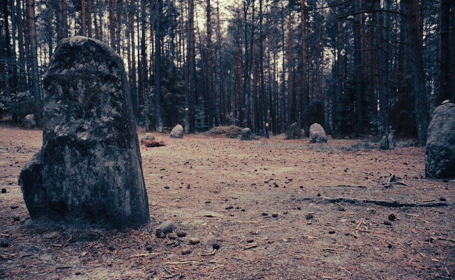 Photo stone that hums documentary