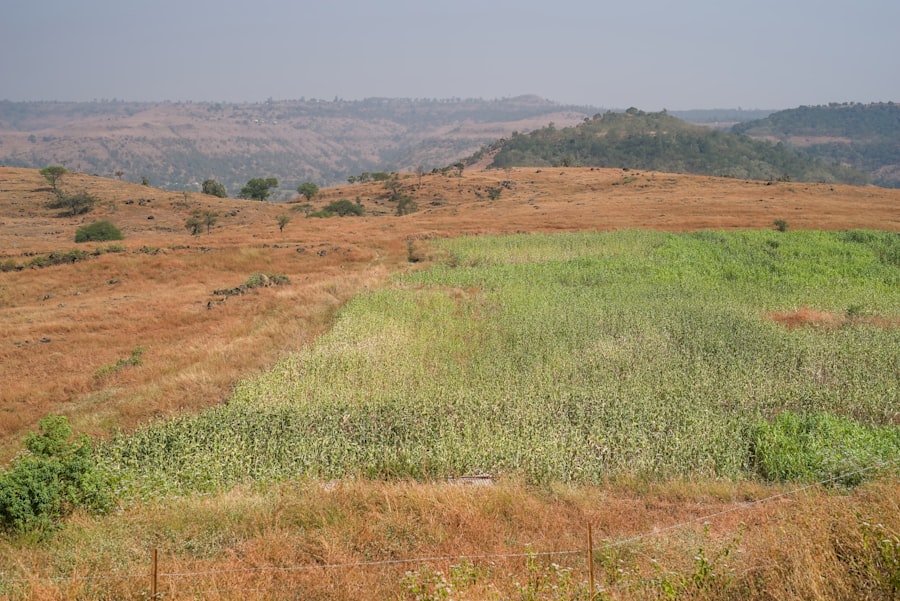 agricultural land degradation