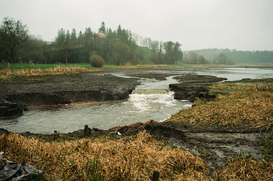 river ecosystem collapse