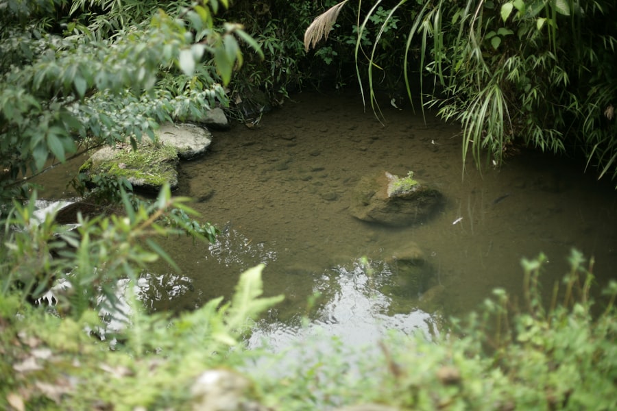 water supply contamination