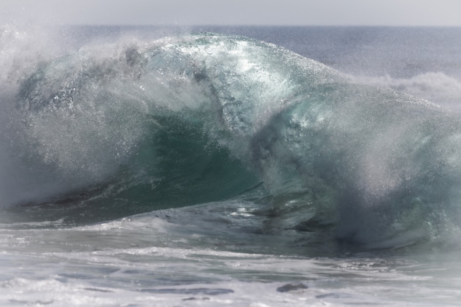 Rogue wave prediction systems