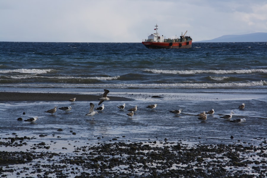 Punta Arenas shipping infrastructure