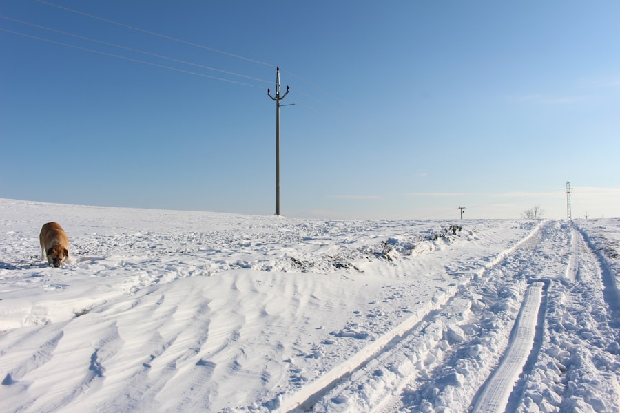 siberia gas pipeline