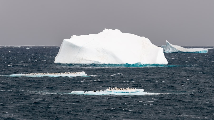 Iceberg detection systems