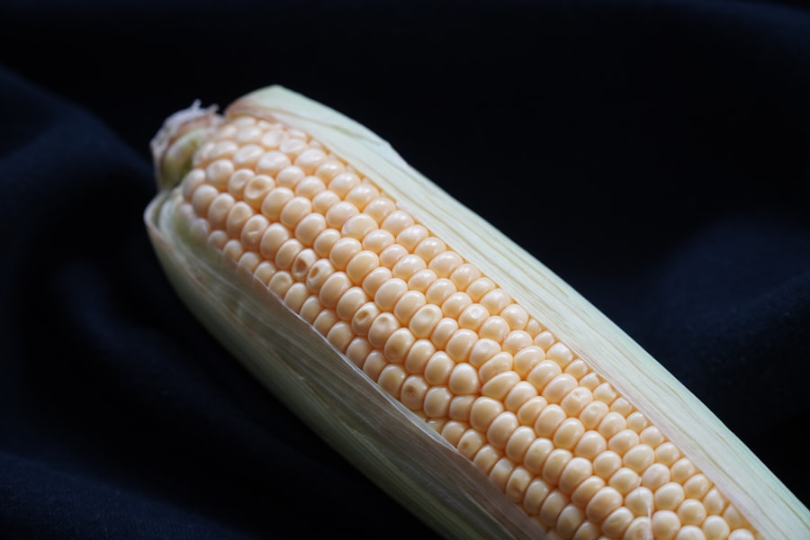 maize domestication