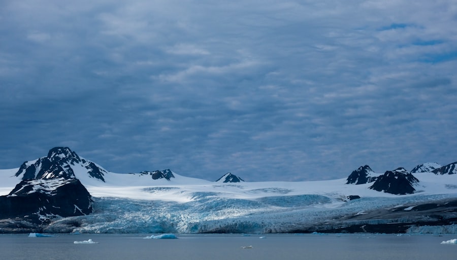Antarctic Treaty 2048 implications