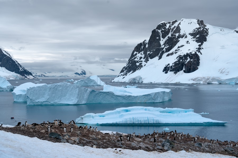 Antarctica subglacial research