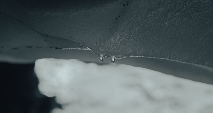 Antarctica no fly corridors