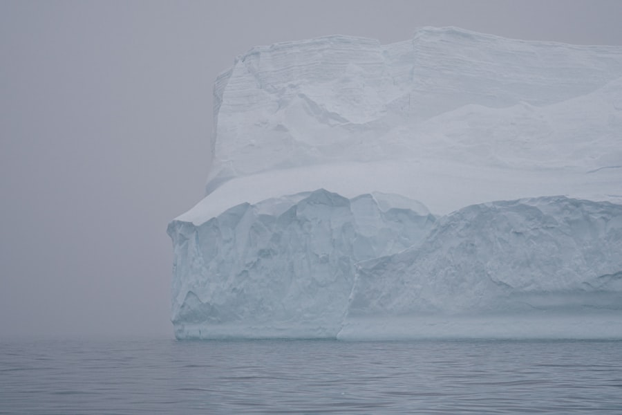 Antarctica artifacts