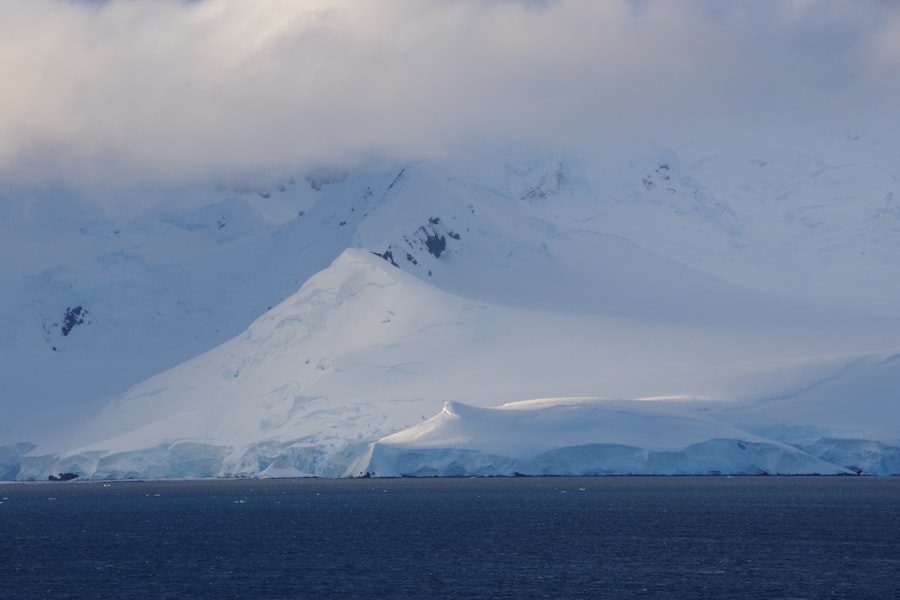 Photo Antarctic Treaty operations