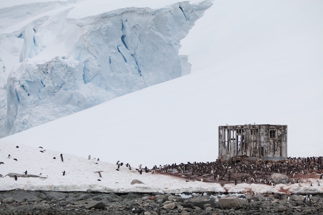 Photo Antarctica excavations