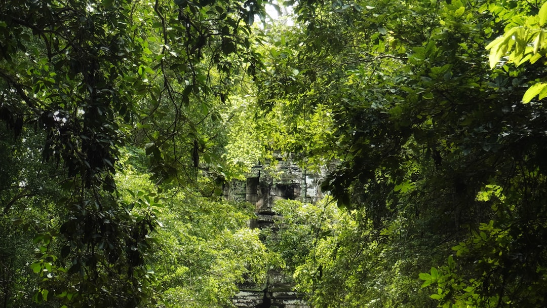 Photo lost civilizations