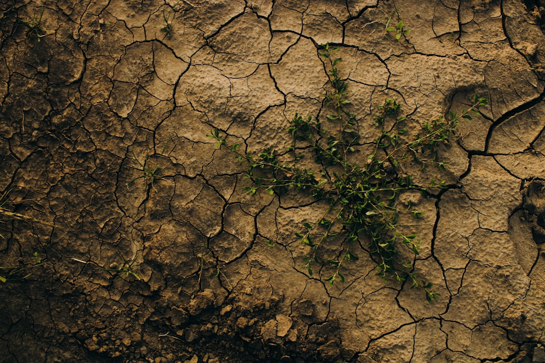 Photo climate change adaptation strategies