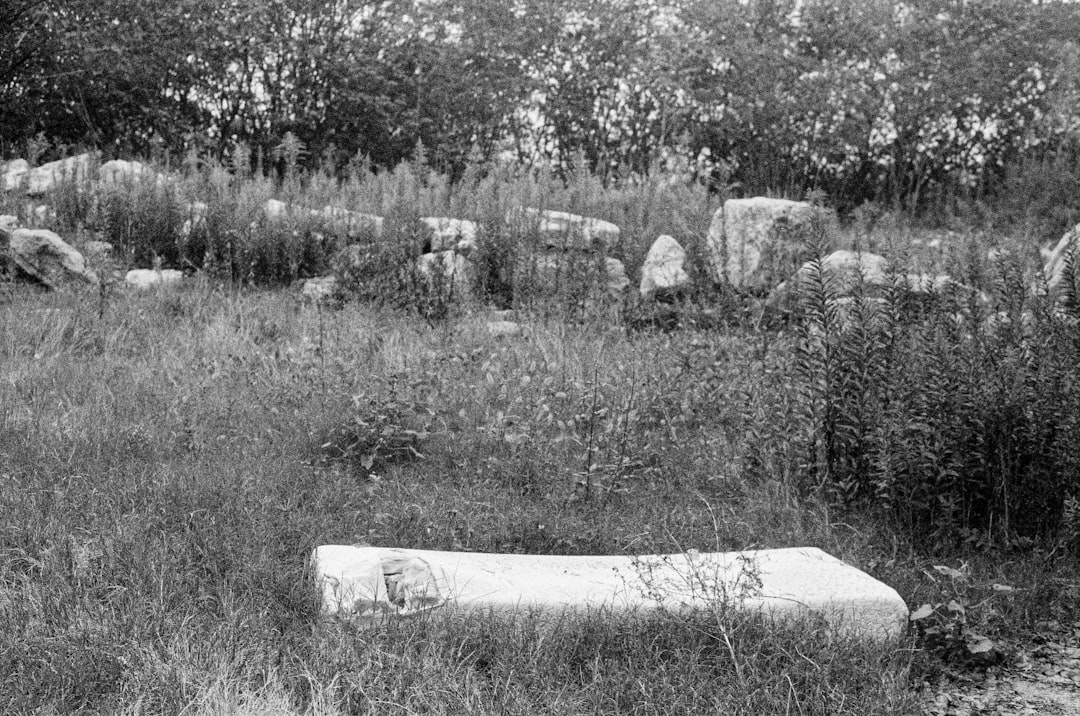 Photo archaeological discoveries