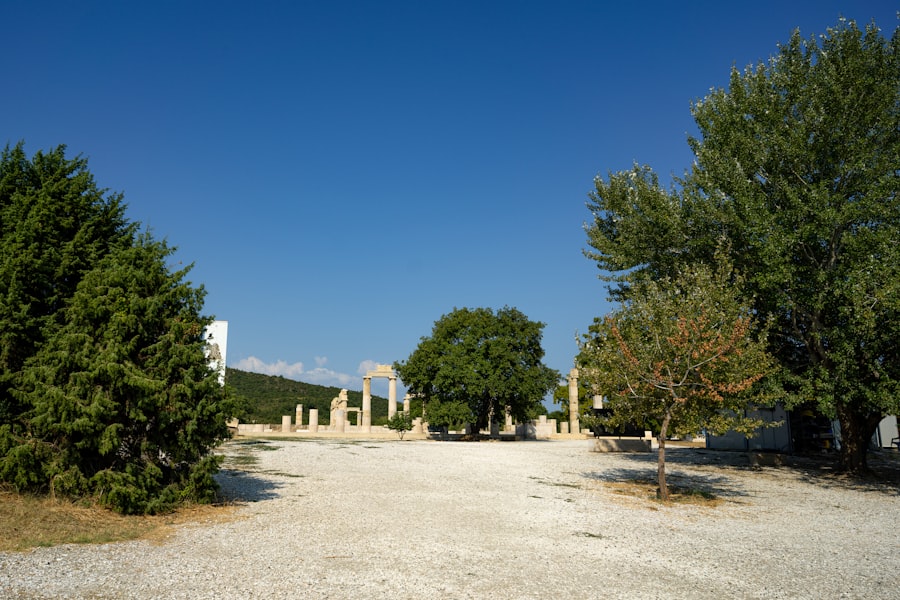 Photo archaeological discoveries