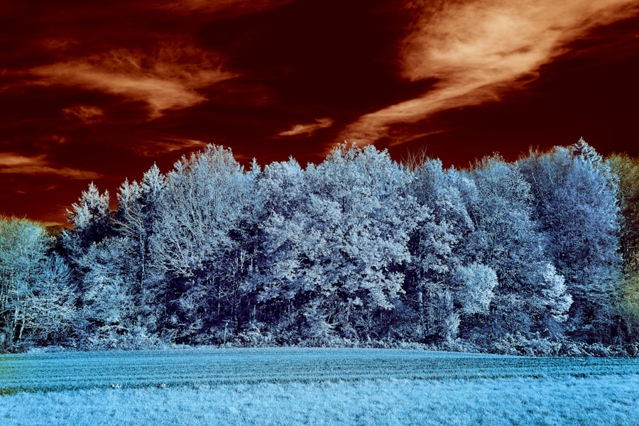 Photo nuclear winter effect