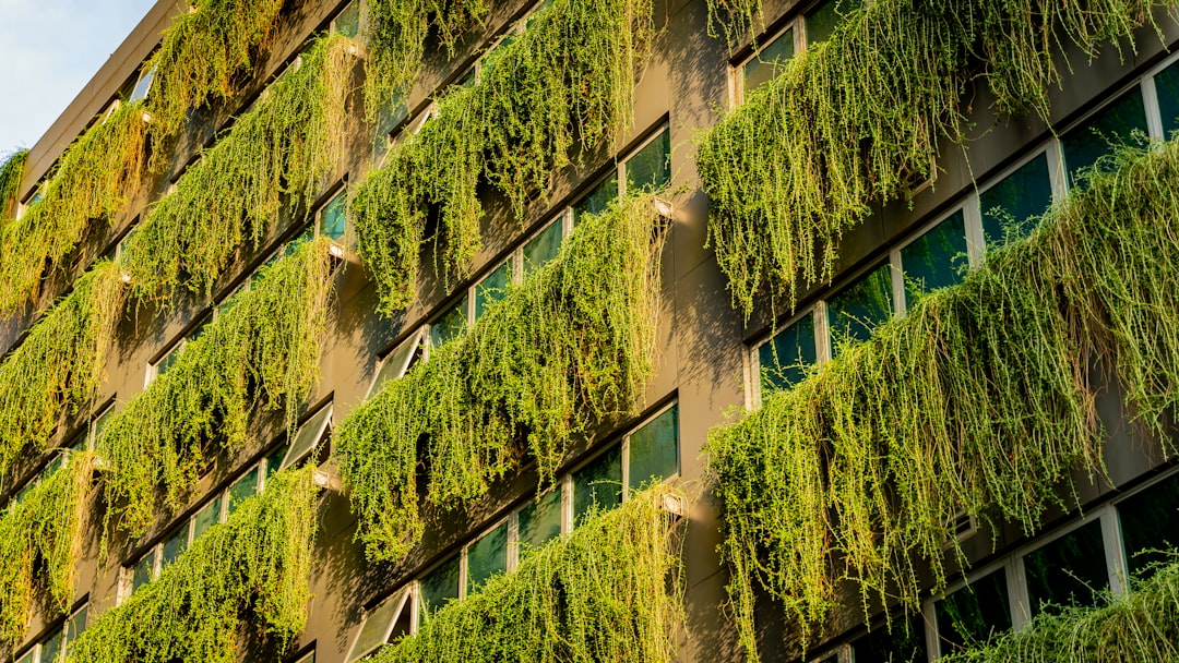 Photo sustainable building solutions