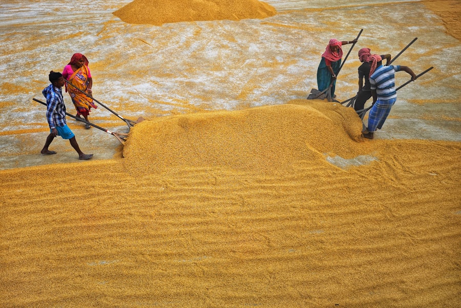 Photo sand mining India
