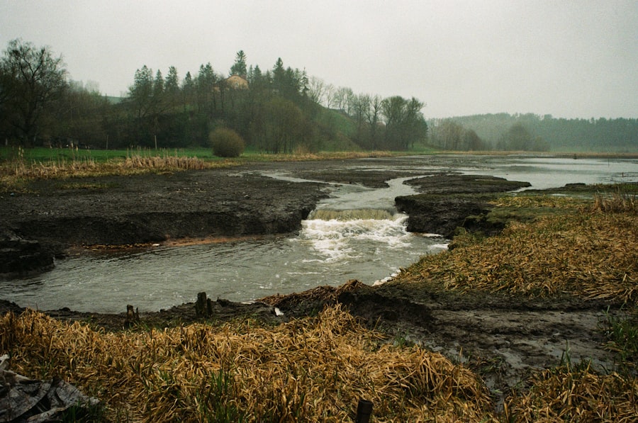 Photo river ecosystem collapse