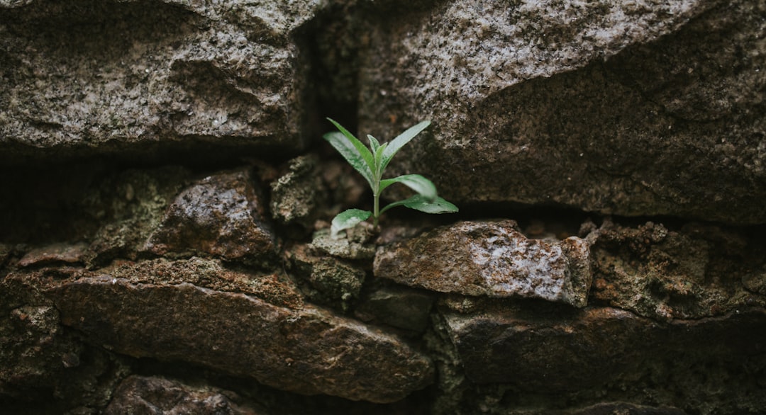 Photo resilience funding gaps