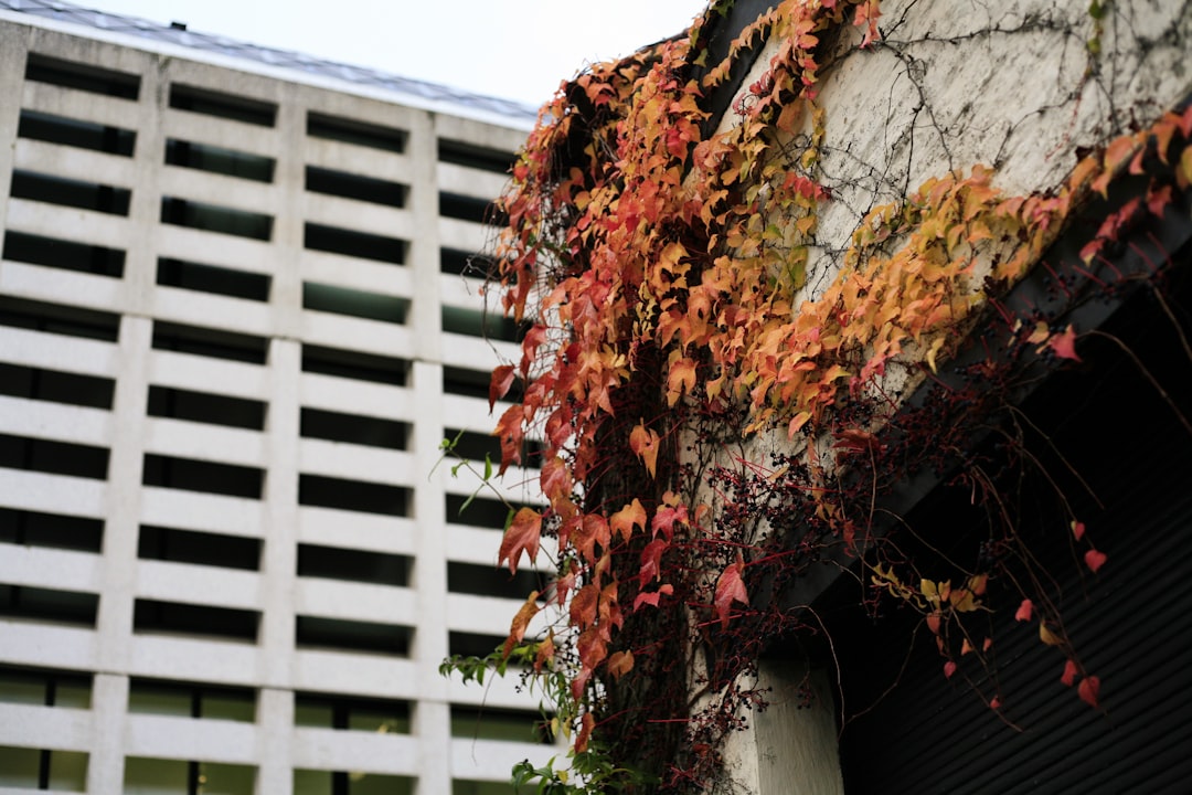 Photo industrial exodus