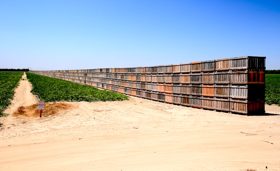 Photo cargo settlement