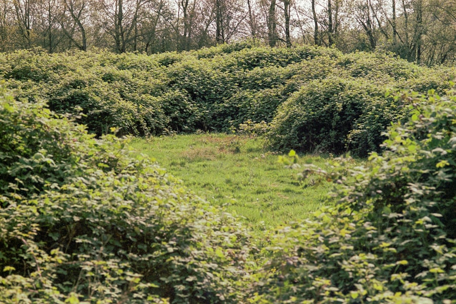 Photo hedging strategies