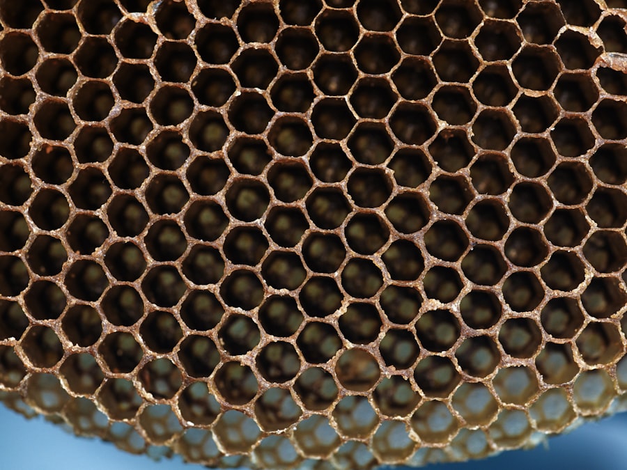 Photo carbon nanotubes