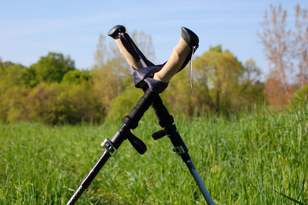 Photo surveying tools