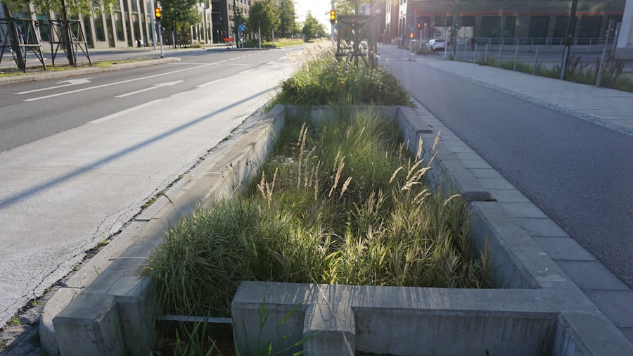 Photo water management