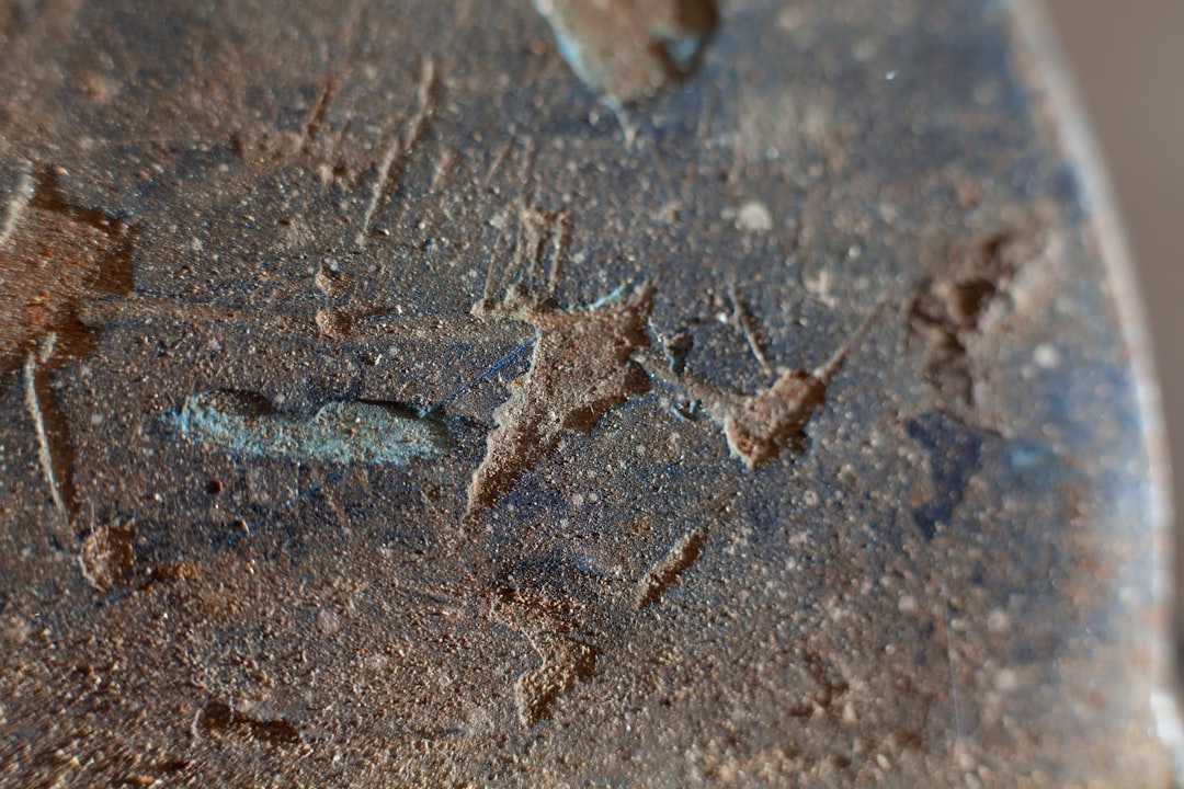 Photo identify archaeological evidence