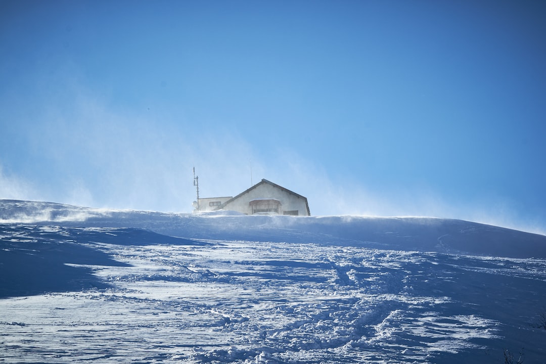 Photo Antarctic research strategy