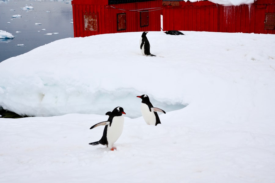 Photo Antarctic research strategy