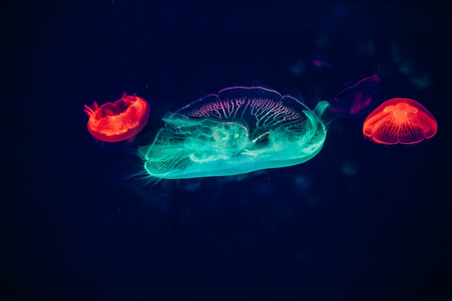 bioluminescent wonders