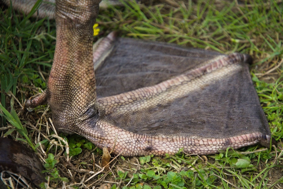 rare earth tails
