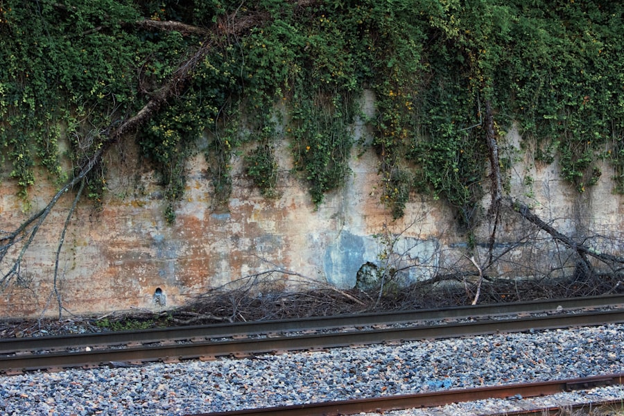 rail link