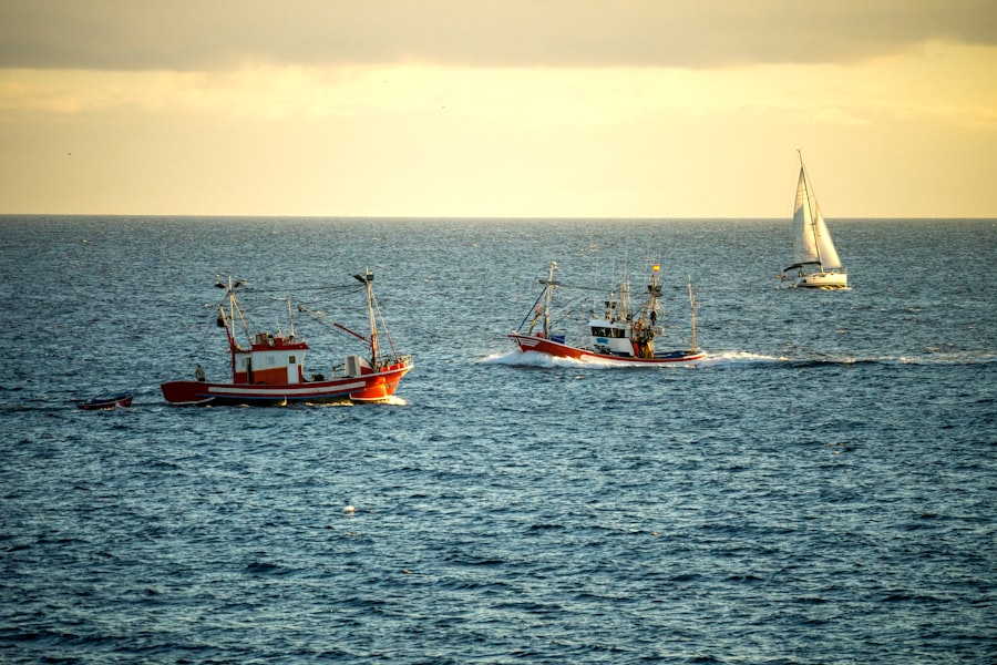 fishing fleet invasion