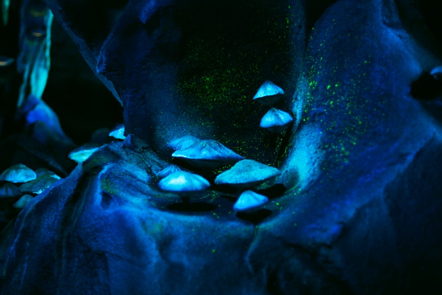 bioluminescent wonders
