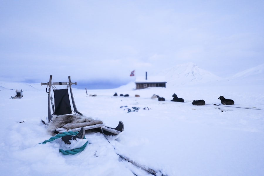Arctic military strategies
