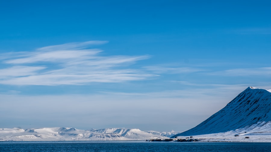 Arctic territorial claims
