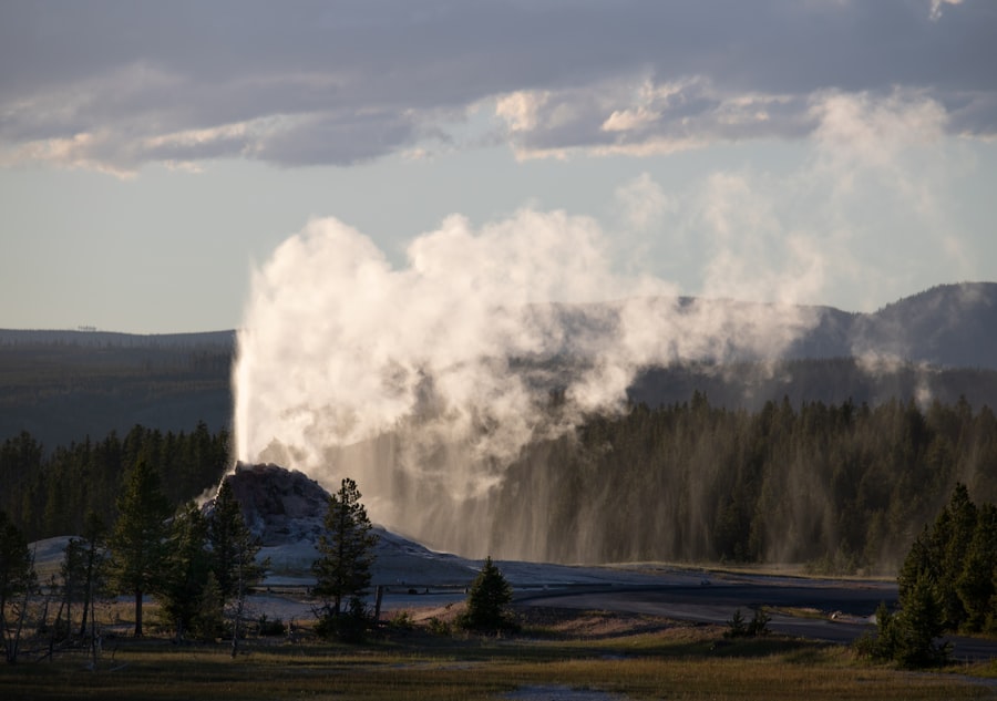 Yellowstone forecast